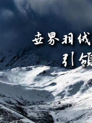 波司登亮相2023年中国品牌日晚会，展现新时代中国品牌的领先风貌