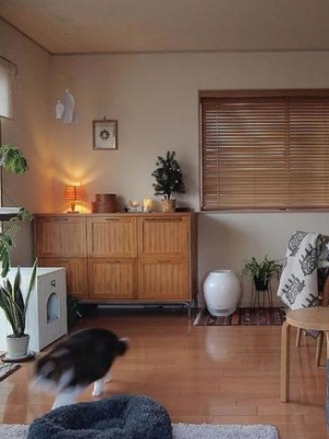 <b>如何把收纳功能点满？看看她家的日式小屋</b>