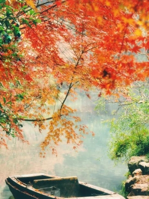 一到秋天 杭州就成了临安